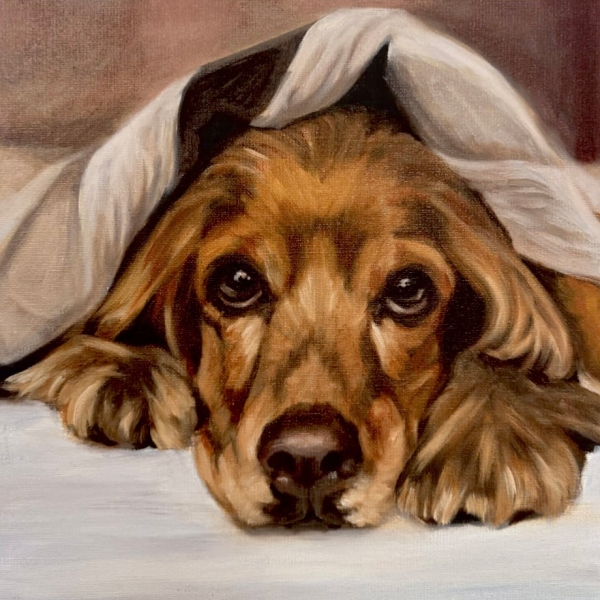 Tessa Gagestein Soulful Eyes