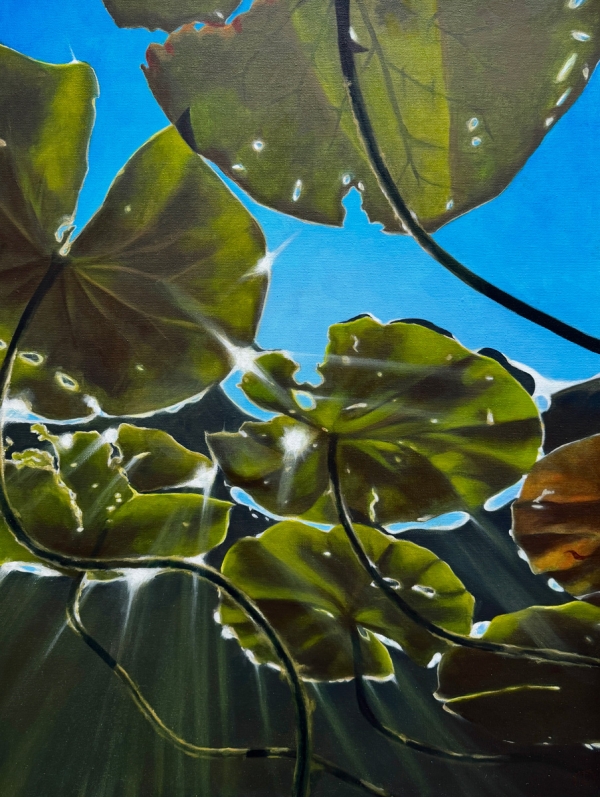 Tessa Gagestein Waterlillies